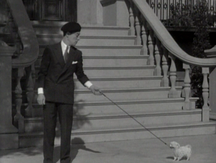 Pre-Code dog watch: tiny pups named Fifi are adorable. 