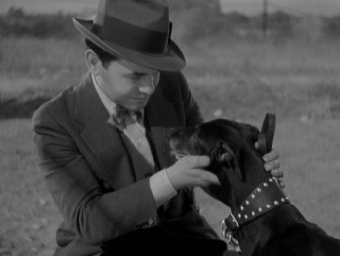 Dark Hazard (1934)