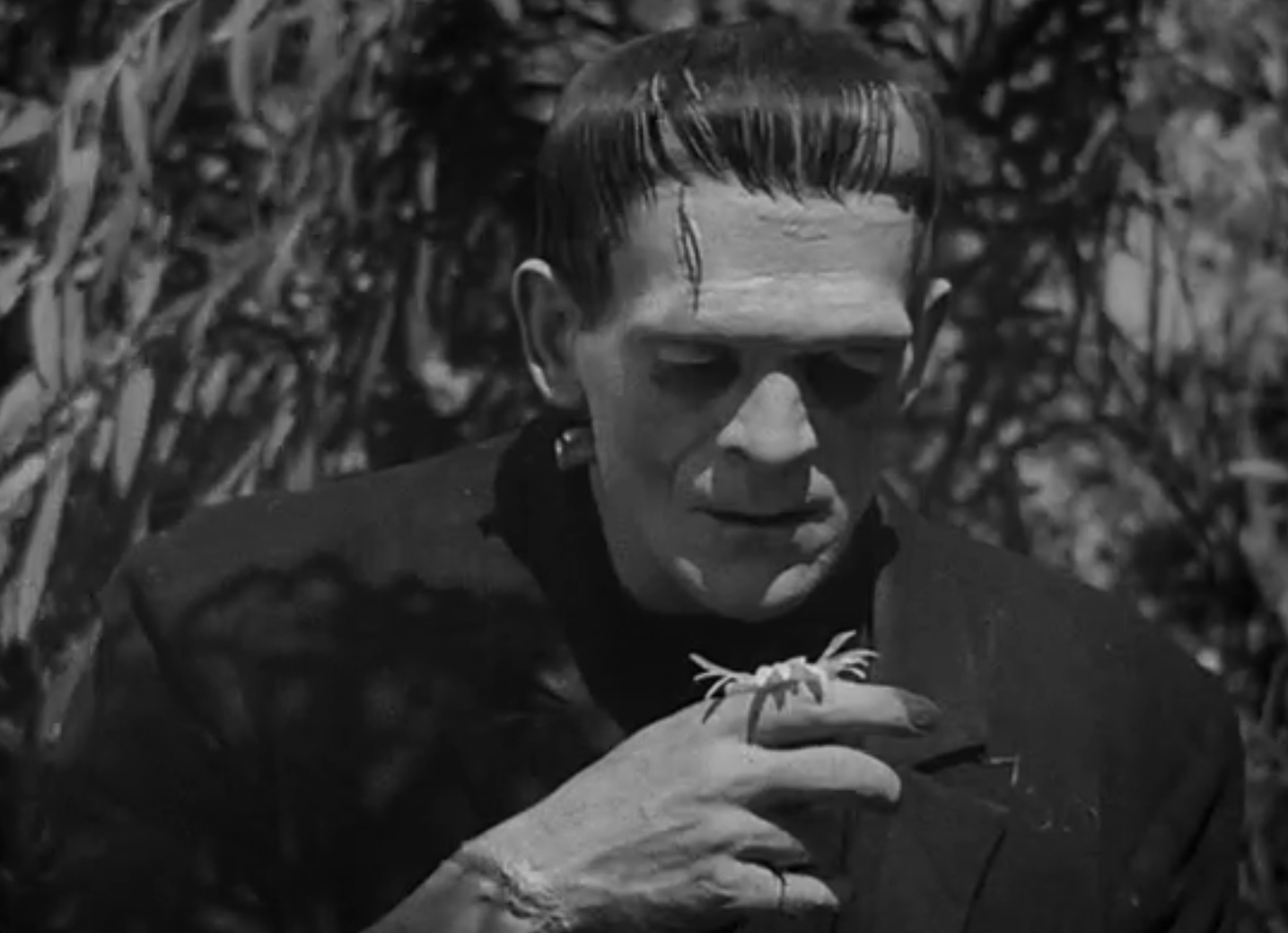 Frankenstein (1931) Review, with Boris Karloff, Colin Clive and Mae