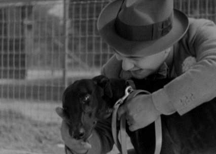 Dark Hazard (1934)