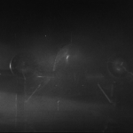 Fog Over Frisco (1934)