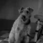 Half Naked Truth 1932