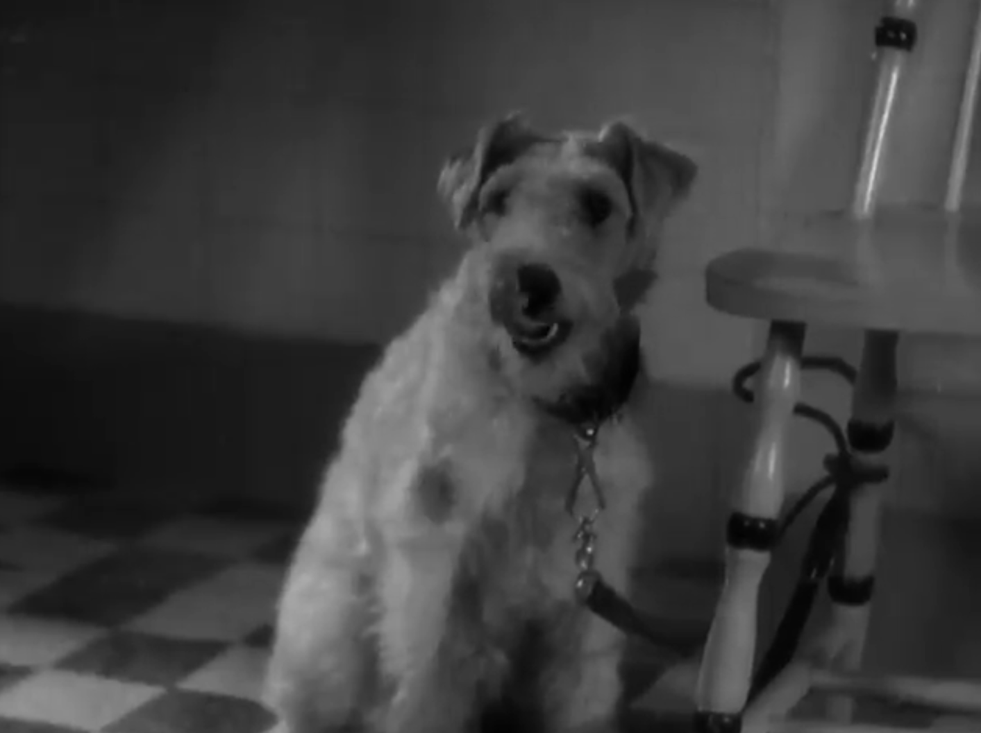 Half Naked Truth 1932