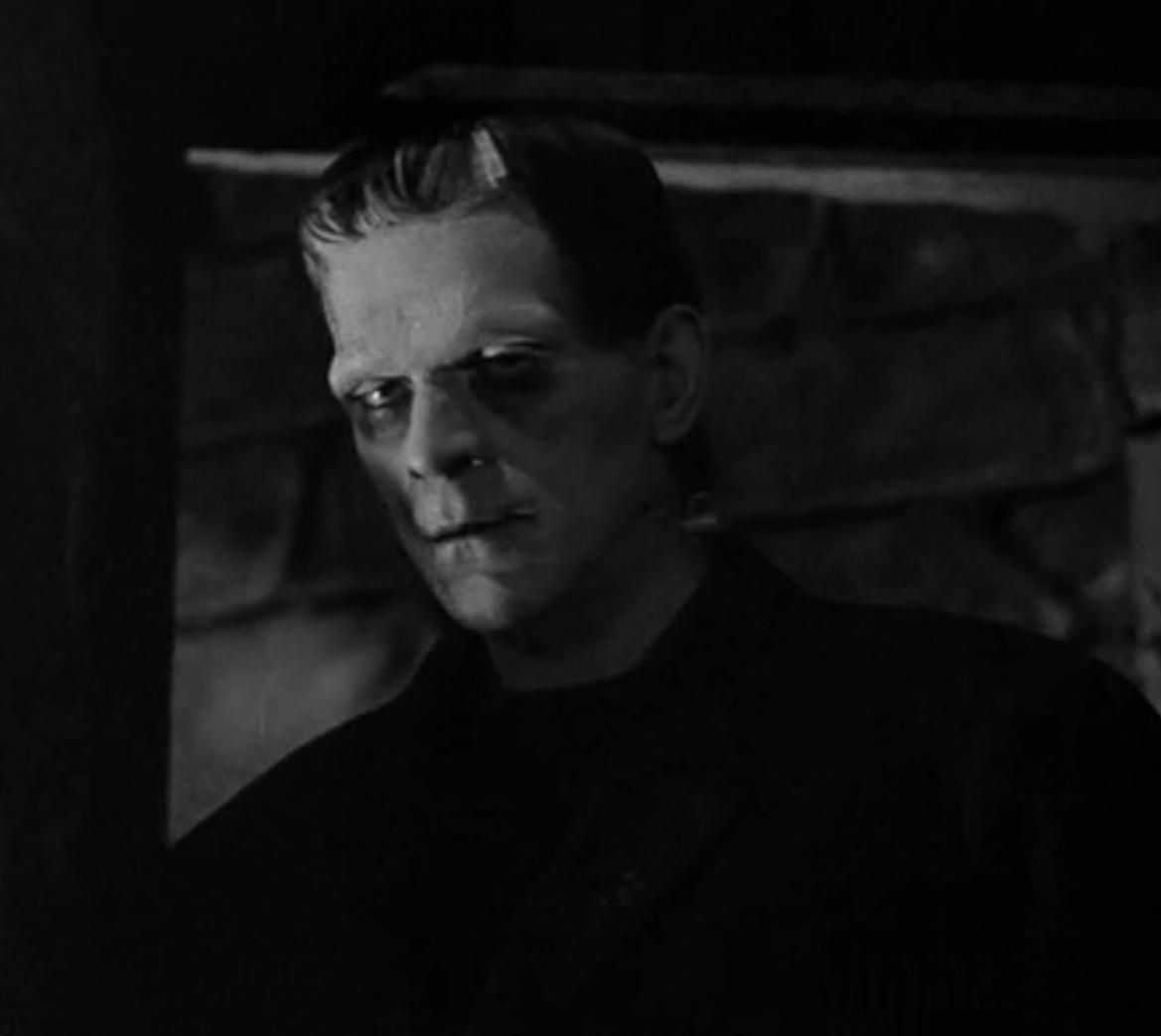 Frankenstein 1930 pre-Code Boris Karloff Colin Clive Mae Clarke